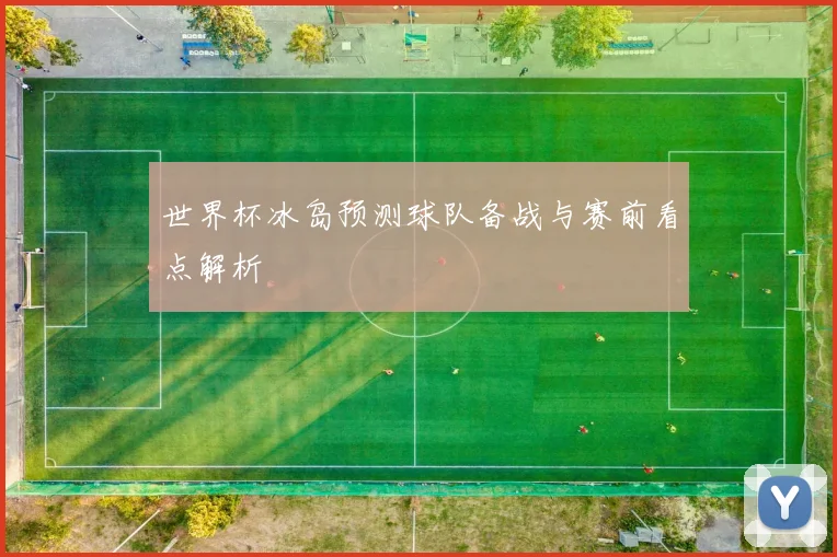 世界杯冰岛预测球队备战与赛前看点解析