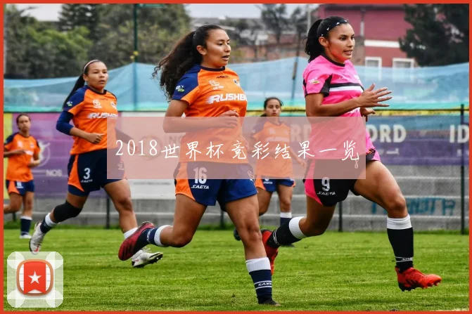 2018世界杯竞彩结果一览