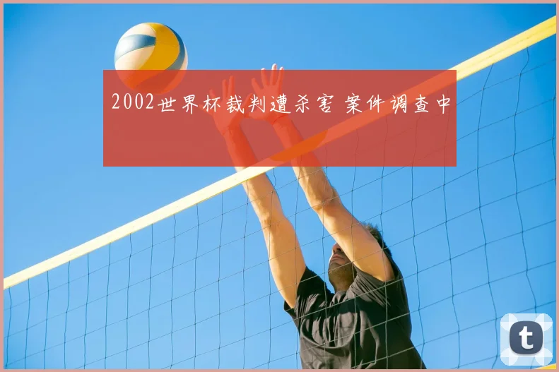 2002世界杯裁判遭杀害 案件调查中