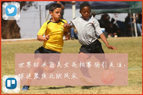 世界杯冰岛美女亮相赛场引关注,球迷聚焦北欧风采
