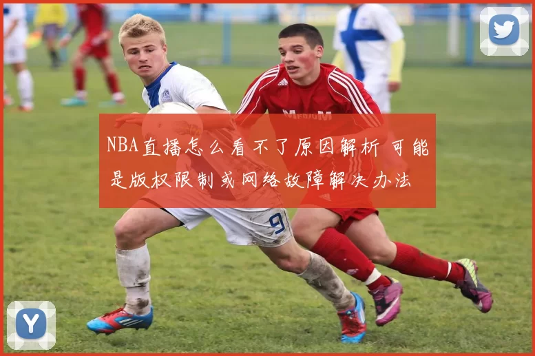 NBA直播怎么看不了原因解析 可能是版权限制或网络故障解决办法