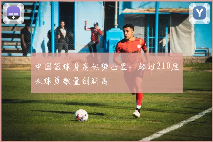 中国篮球身高优势凸显,超过210厘米球员数量创新高