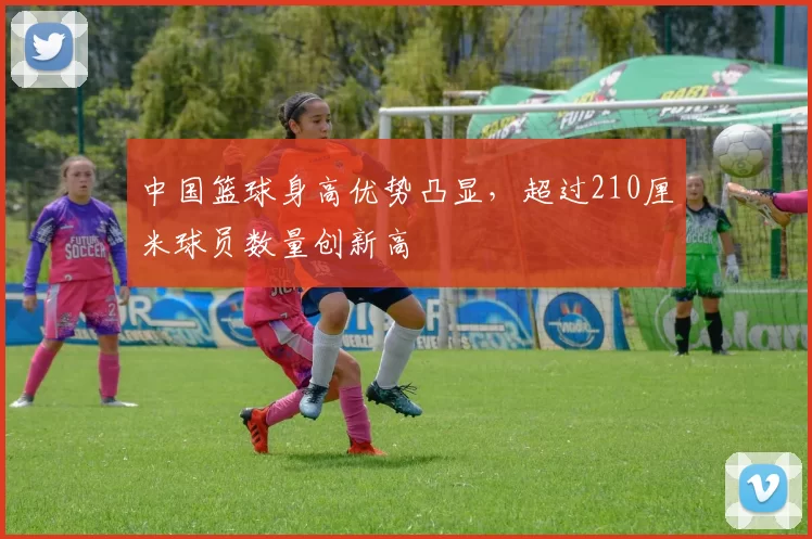 中国篮球身高优势凸显,超过210厘米球员数量创新高