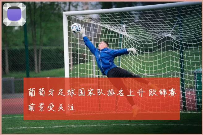 葡萄牙足球国家队排名上升 欧锦赛前景受关注